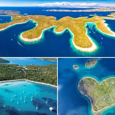 Floyd * ביבינייה