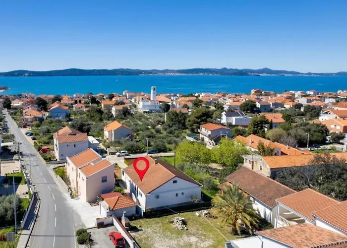 Floyd * بيبينيا